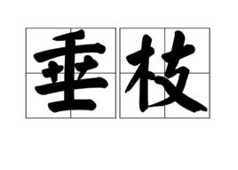 垂枝 垂枝