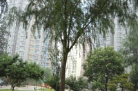 方丹苑二期 方丹苑二期