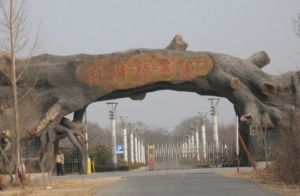 劉墉板栗園 劉墉板栗園