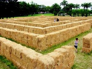 牧草堆的巨大迷宮