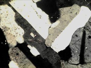 卡爾斯巴德雙晶律 卡爾斯巴德雙晶律