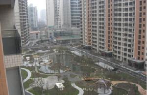 九龍盛匯 九龍盛匯