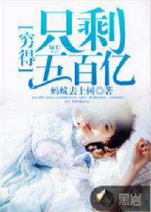 窮得只剩五百億 窮得只剩五百億