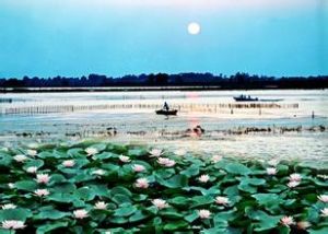 穆台沙比赫 穆台沙比赫