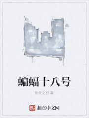 蝙蝠十八號 蝙蝠十八號