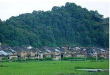 後坂村[浙江省紹興新昌縣雙彩鄉下轄行政村]