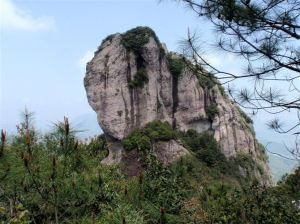 芙蓉三冠 芙蓉三冠