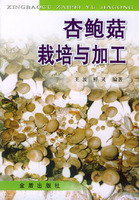 杏鮑菇栽培與加工