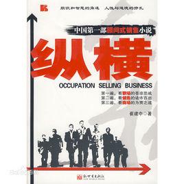 縱橫[初期商戰銷售型小說]