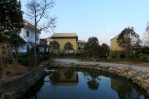 西東坡村 西東坡村