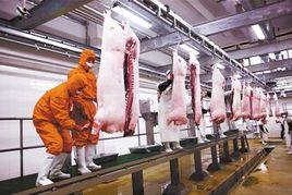 廣州市人民政府關於實行牛羊定點屠宰的通告 廣州市人民政府關於實行牛羊定點屠宰的通告