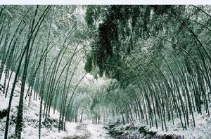 天下第一衝 天下第一衝