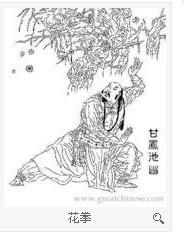 花拳 花拳