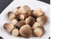 蘑菇[食用菌的一種和一類]