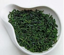 小葉苦丁 小葉苦丁