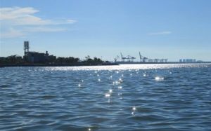 美源海口灣景觀公園 美源海口灣景觀公園