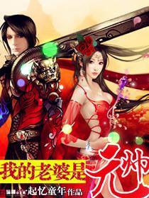 我的老婆是元帥