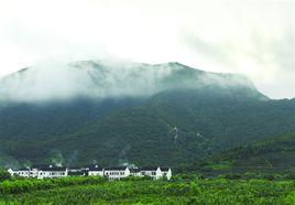 樹山生態村 樹山生態村