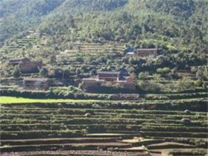 呼家灣村 呼家灣村