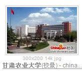 甘肅農業大學信息科學技術學院 甘肅農業大學信息科學技術學院