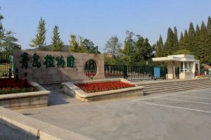 青島植物園 青島植物園
