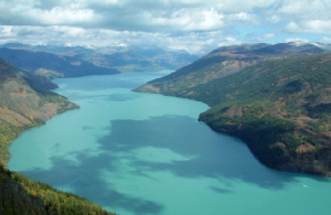 阿爾泰山高山帶植被－－泰加林