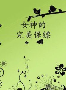 女神的完美保鏢 女神的完美保鏢