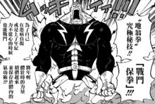 地翁拳究極密技&middot;戰鬥保拳