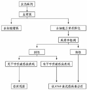 人感染H7N9禽流感診療方案（2014年版）