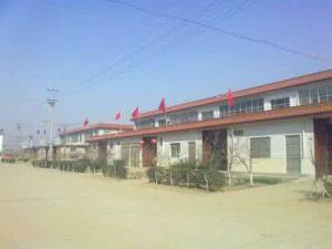 山東省臨沂市蘭山區李官鎮 山東省臨沂市蘭山區李官鎮