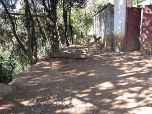 羊窩棚村 羊窩棚村