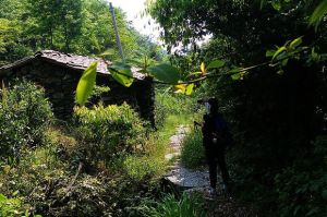 洪源上村古道 洪源上村古道