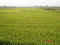 大漢莊自然村 大漢莊自然村