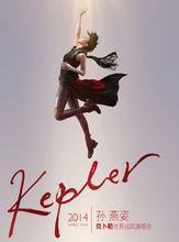 孫燕姿2014“克卜勒”世界巡迴演唱會