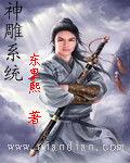 神鵰系統 神鵰系統