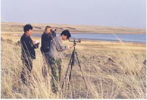 達賚湖自然保護區