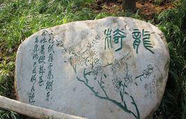 超山[杭州超山風景區]