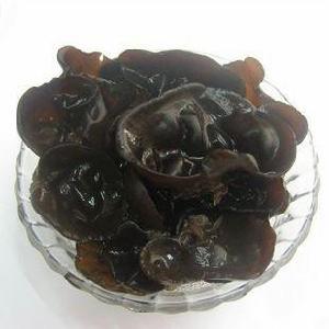 木段木耳 木段木耳