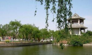 現河公園 現河公園