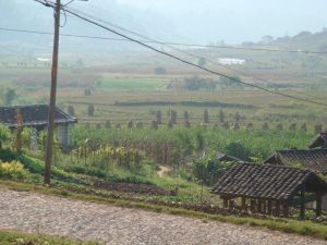 百家箐二自然村 百家箐二自然村