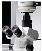 SZX7臨床級體視顯微鏡