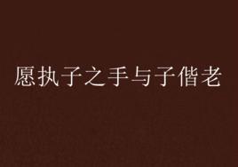 願執子之手與子偕老 願執子之手與子偕老