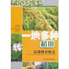 一地多種稻田高效種植模式 一地多種稻田高效種植模式