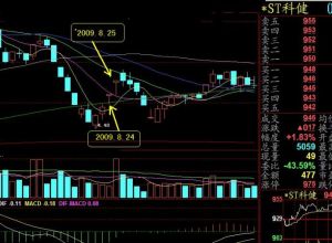 開盤集合競價 開盤集合競價