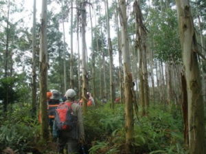 乾務水庫 乾務水庫