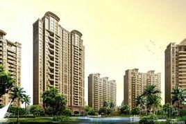 濱海新城 濱海新城