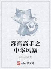 灌籃高手之中華風暴