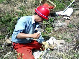 地質工作 地質工作