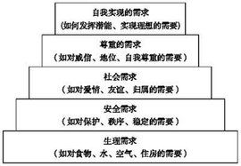 行為科學理論 行為科學理論