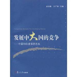 發展中大國的競爭